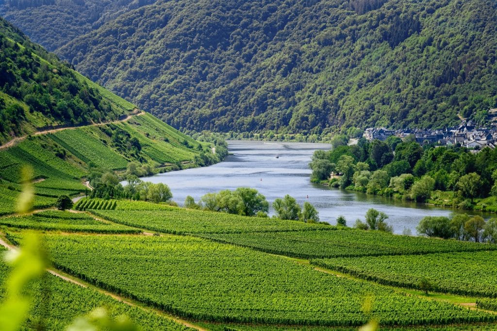 vineyards g3bd8f9b87 1920