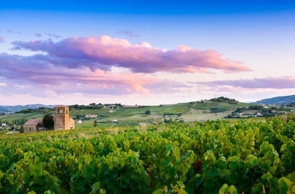 01. Beaujolais France photocredit getty