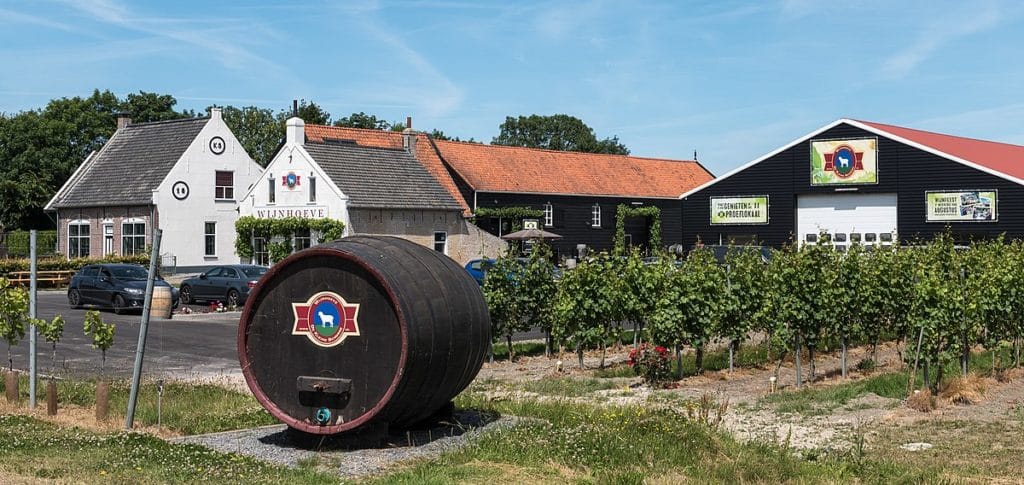 De Kleine Schorre