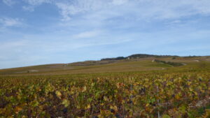 Encore ‘WineParis’