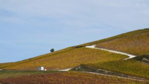 Encore ‘WineParis’